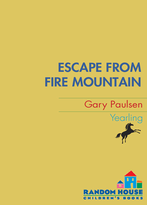 Book Escape from Fire Mountain (World of Adventure Book 3) free