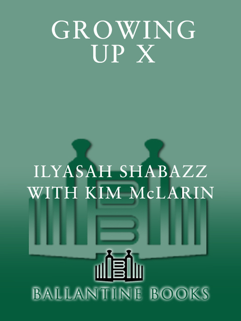 Book Growing Up X: A Memoir by the Daughter of Malcolm X free