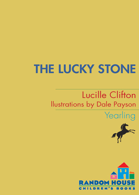 Book The Lucky Stone (Yearling Book) free