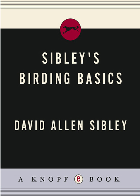 Book Sibley's Birding Basics free
