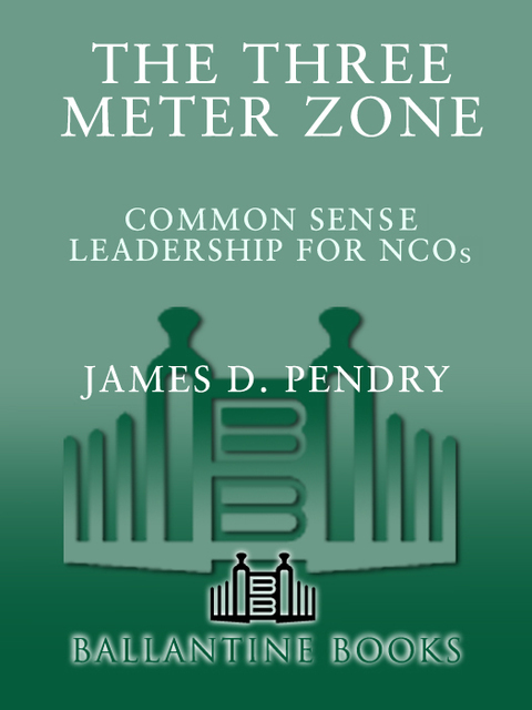 Book The Three Meter Zone: Common Sense Leadership for NCOs free