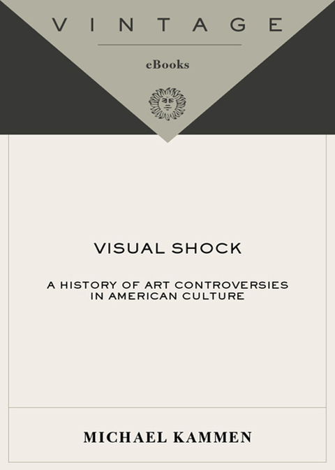 Book Visual Shock: A History of Art Controversies in American Culture free