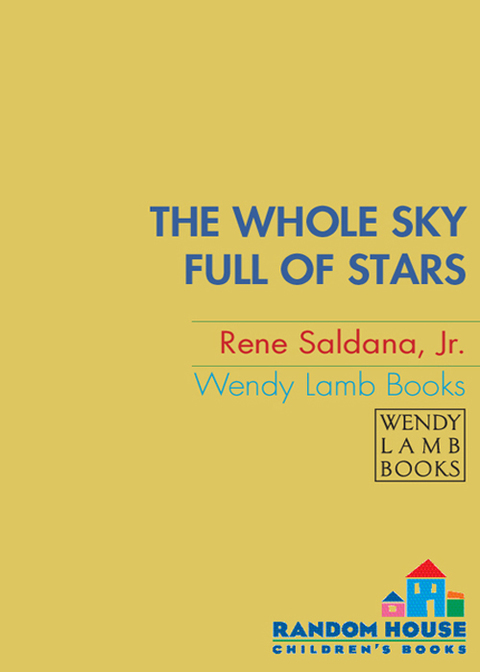 Book The Whole Sky Full of Stars free
