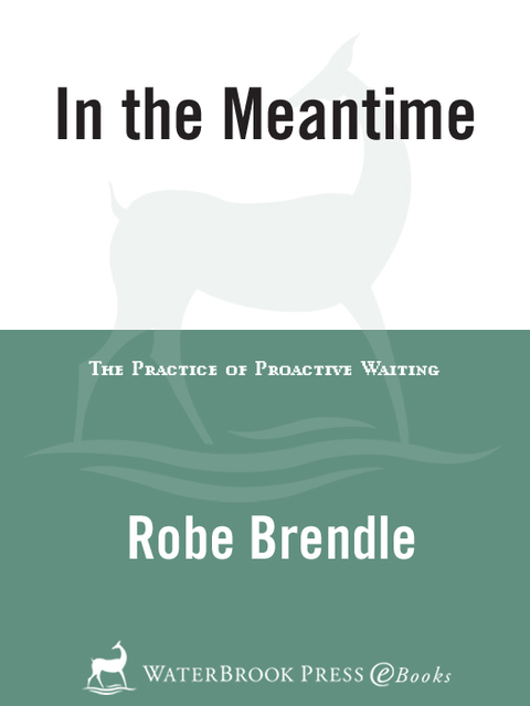 Book In the Meantime: The Practice of Proactive Waiting free