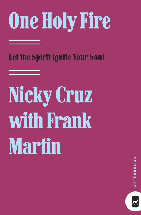 Book One Holy Fire: Let the Spirit Ignite Your Soul free