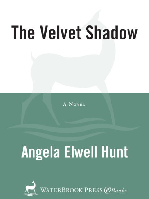 Book The Velvet Shadow free