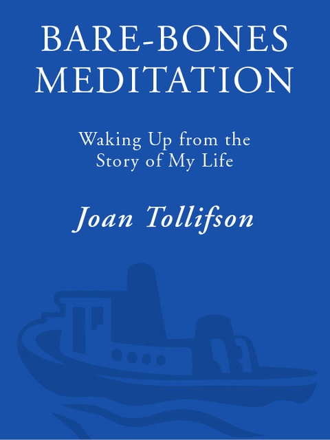 Book Bare-Bones Meditation: Waking Up from the Story of My Life free