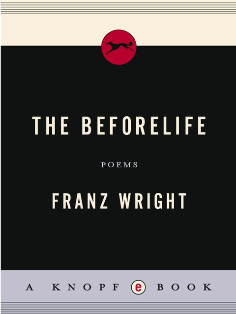 Book The Beforelife free