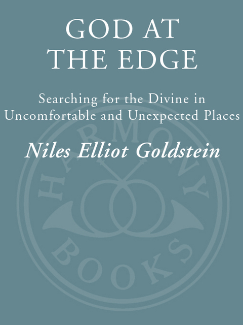 Book God at the Edge: Searching for the Divine in Uncomfortable and Unexpected Places free