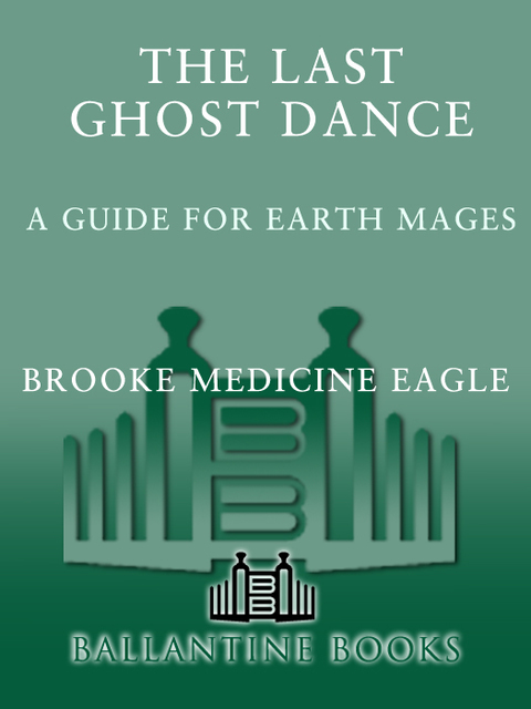 Book The Last Ghost Dance: A Guide for Earth Mages free