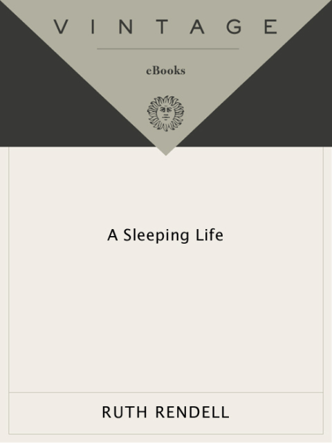 Book A Sleeping Life (Inspector Wexford Book 10) free