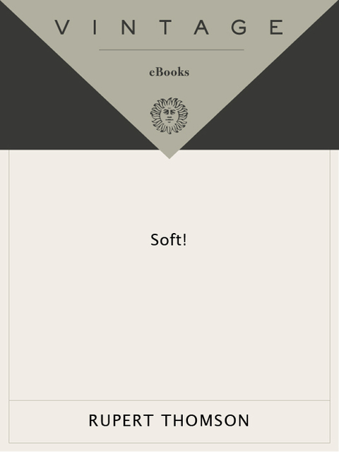 Book Soft! (Vintage Crime/Black Lizard) free