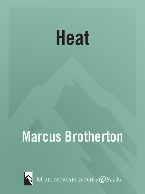 Book Heat: A Graphic Reality Check for Teens Dealing With Sexuality (FlipSwitch) free