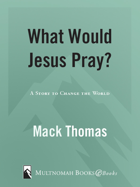 Book What Would Jesus Pray?: A Story to Change the World free