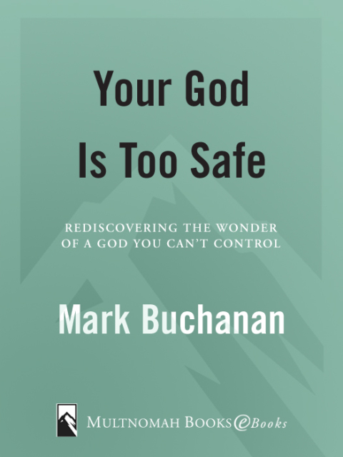 Book Your God is Too Safe: Rediscovering the Wonder of a God You Can't Control free