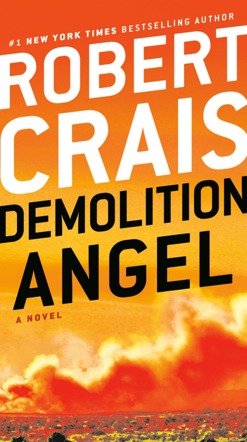 Book Demolition Angel: A Novel free Book Demolition Angel: A Novel free