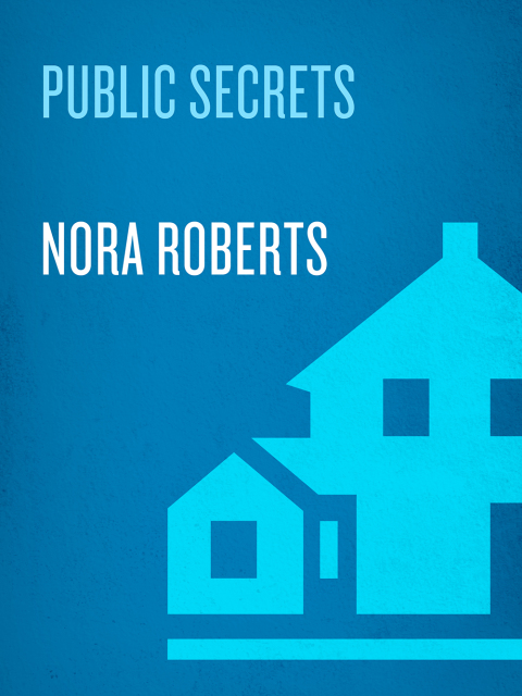 Book Public Secrets: A Novel free