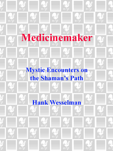 Book Medicinemaker: Mystic Encounters on the Shaman's Path free
