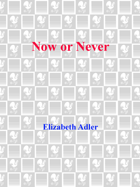 Book Now or Never: A Novel free