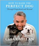 Book How to Raise the Perfect Dog: Through Puppyhood and Beyond free