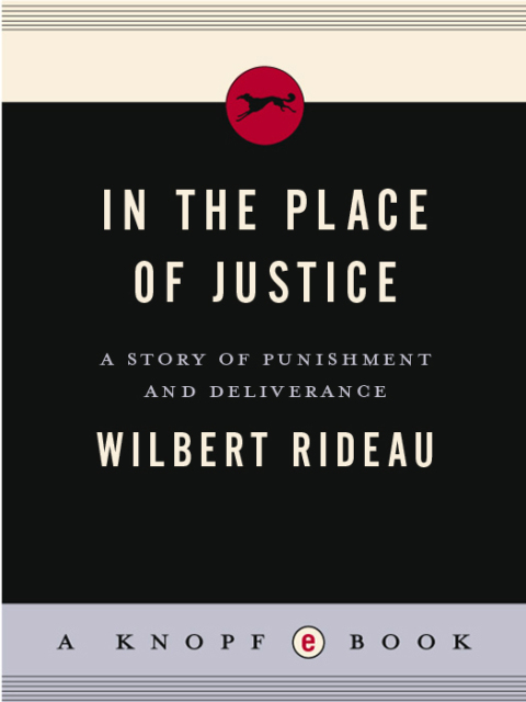 Book In the Place of Justice: A Story of Punishment and Deliverance free