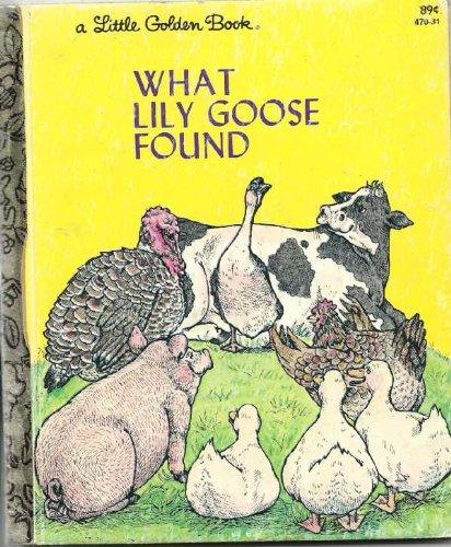 Book What Lily Goose Found (A Little Golden Book) free