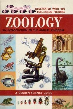 Book Zoology: An Introduction to the Animal Kingdom (A Golden Science Guide) free