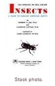 Book Insects free