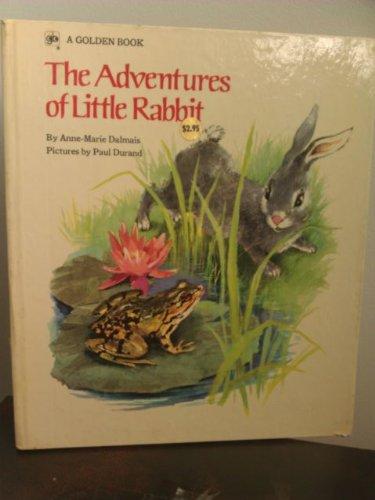 Book The Adventures of Little Rabbit free
