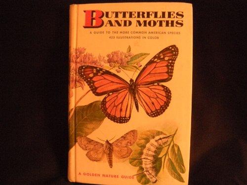 Book Butterflies and Moths (Golden Guides) free