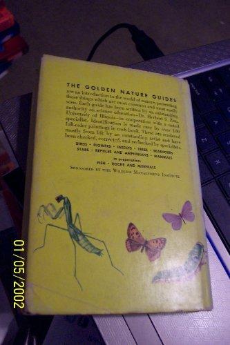 Book Insects (Golden Guides) free